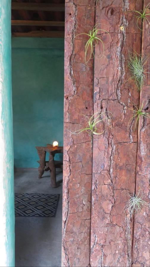 Casita Tonina Bed & Breakfast Ocosingo Exterior photo