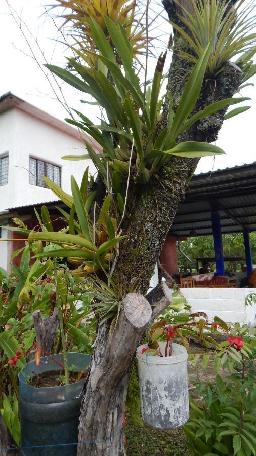 Casita Tonina Bed & Breakfast Ocosingo Exterior photo
